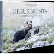 Ursus Brenta - Die Rückkehr der Bären in die Alpen