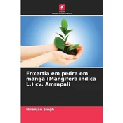 Enxertia em pedra em manga (Mangifera indica L.) cv. Amrapali