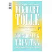 Moć sadašnjeg trenutka