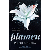 Plamen