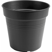 green basics lonec za gojenje poživljajoče črna