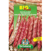 FIŽOL NIZKI ZA ZRNJE BIG PACK 70gr