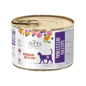 4Vets Natural Cat Veterinarska Dijeta Gastro Intestinal 185g