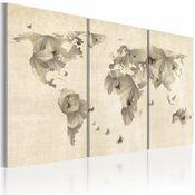 Slika - Atlas of butterflies - triptych 90x60