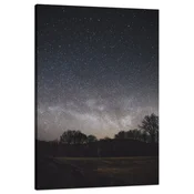 shumee Platno s tiskom Kozmos Zvezdno nebo 80x120 cm Konjski hlev Šopek rož