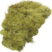 Knorr Prandell 216695426 Okraski Lime Green 250 g 1