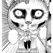 Junji Itos Cat Diary: Yon & Mu Collectors Edition