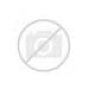 APPLE outlet pametni telefon iPhone SE (2020) 3GB/128GB, Black