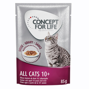 12x85 g Concept for Life po posebni ceni! - All Cats 10+ v omaki