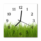 tulup.si Steklena kvadratna ura Grass 30x30 cm