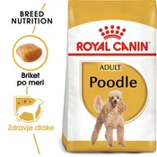 Royal Canin | Adult Poodle hrana za odrasle pse