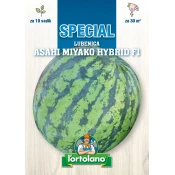 LUBENICA ASAHI MIYAKO HYBRID F1