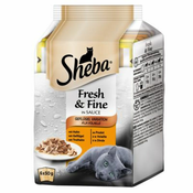 Ekonomično pakiranje Sheba Fresh & Fine 72 x 50 g - Tuna i losos u želeu