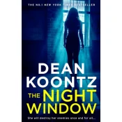 Night Window
