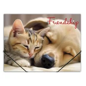 Gumena mapa, 15 mm, PP, A4, PANTA PLAST Friendship 0410-0064-55