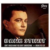Dane Stinit - Dont Know What You Dont Understand (LP)