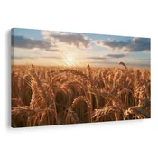 Slika zlato žito ob sončnem zahodu - 90x60