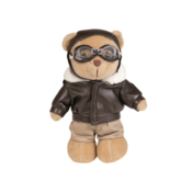 Medvedek Teddy Pilot
