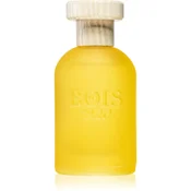 Bois 1920 Cannabis Fruttata EDP 100 ml