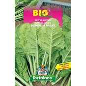 BLITVA LISTNA - Big pack 20g