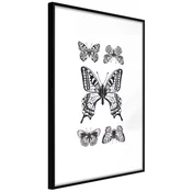 Poster - Butterfly Collection IV 30x45