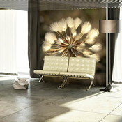 Foto tapeta - Summer time - dandelion 400x309