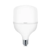 Braytron LED sijalica BRY-ADVANCE-20W-E27-T80-PLS-4000K