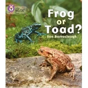 Frog or Toad?