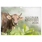 Allgäuer Rindvieh 2026 (Wandkalender 2026 DIN A4 quer), CALVENDO Monatskalender