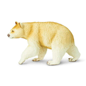 Safari Medved Kermode