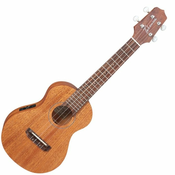 Takamine EGU-C1