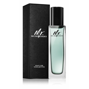 MR. BURBERRY TOALETNA VODA 30ml