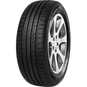 Minerva 209 ( 175/70 R13 82T )