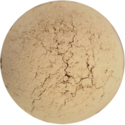 Intense Foundation Refill - Pearl