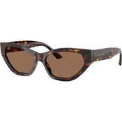 Jimmy Choo Naocare za sunce JC 5022B 500273