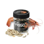 Delphin MaggoX Pop Up/Kozica