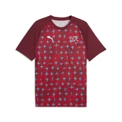 PUMA Switzerland Warmup Jersey Men, Football, Regal Red/White, S