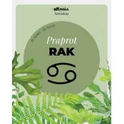 Horoskop rastlina: Rak (Praprot)