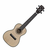 Alvarez AU70C Concert ukulele