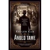 Anđeo tame