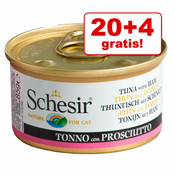 20 + 4 gratis! Schesir v želeju 24x85 g - Kitten: Tuna in aloe vera