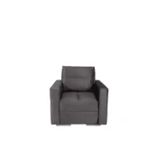 Fotelja Gray
