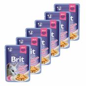 Hrana v vrečki BRIT Premium Cat Chicken in Jelly 6x85 g