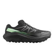 Salomon Ultra Flow 2 GTX