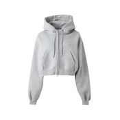 Nike Sportswear Jopa na zadrgo STDO svetlo siva