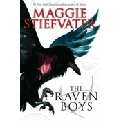 Raven Boys (The Raven Cycle, Book 1)