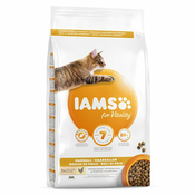 Iams Cat Hairball 10 kg