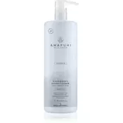 Paul Mitchell Awapuhi Wild Ginger Hydrate Hydrasoft Regenerator 1000 ml