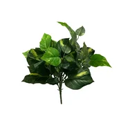 Philodendron grm 46 cm UV - 25 do 50 cm