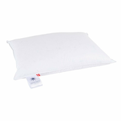 Vzglavnik s polnilom iz perja 50x70 cm Neptune Low – Universe of Sleeping